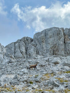 Kaljukits Prutaši mäel - Montenegro reis ja loodusmatk - sept'25