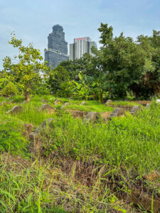 Kirde-Tai rännak, Bangkok