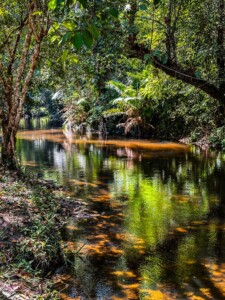 Unustamatu Kambodža reis ja rännak eesti keeles