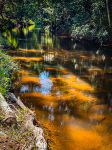 Unustamatu Kambodža reis ja rännak eesti keeles