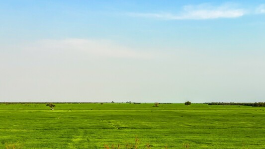 Unustamatu Kambodža reis ja rännak eesti keeles