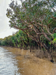 Unustamatu Kambodža reis ja rännak eesti keeles