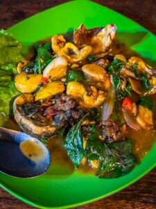 Unustamatu Kambodža reis ja rännak eesti keeles