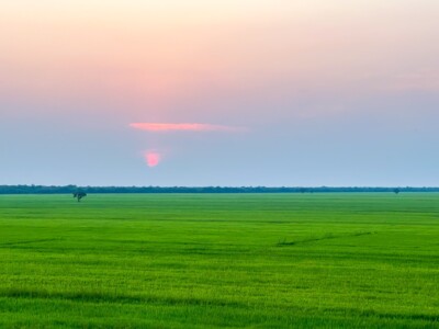 Unustamatu Kambodža reis ja rännak eesti keeles