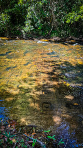 Unustamatu Kambodža reis ja rännak eesti keeles