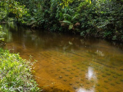 Unustamatu Kambodža reis ja rännak eesti keeles
