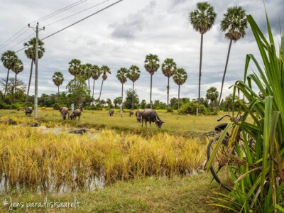 Unustamatu Kambodža reis ja rännak eesti keeles