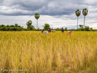 Unustamatu Kambodža reis ja rännak eesti keeles