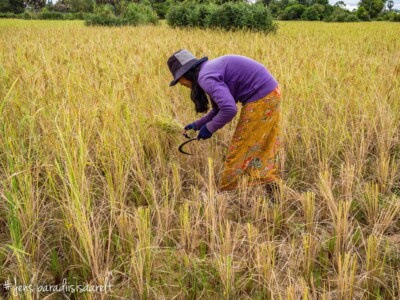 Unustamatu Kambodža reis ja rännak eesti keeles