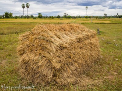 Unustamatu Kambodža reis ja rännak eesti keeles