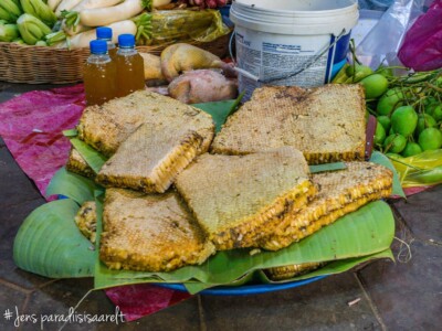 Unustamatu Kambodža reis ja rännak eesti keeles