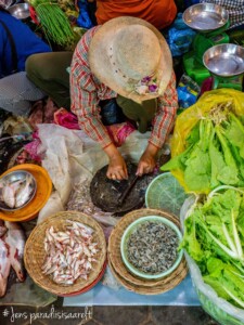 Unustamatu Kambodža reis ja rännak eesti keeles