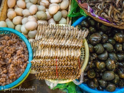 Unustamatu Kambodža reis ja rännak eesti keeles