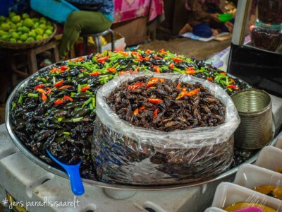 Unustamatu Kambodža reis ja rännak eesti keeles