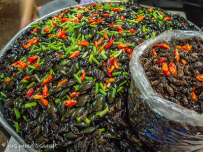 Unustamatu Kambodža reis ja rännak eesti keeles