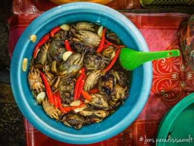 Unustamatu Kambodža reis ja rännak eesti keeles