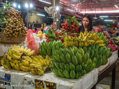 Unustamatu Kambodža reis ja rännak eesti keeles