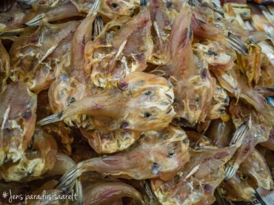 Unustamatu Kambodža reis ja rännak eesti keeles