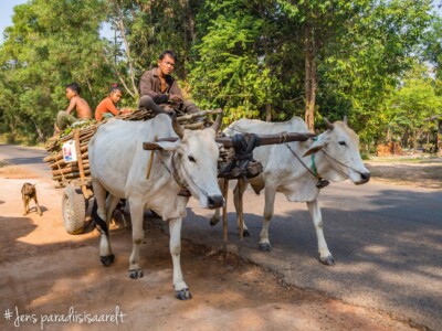 Unustamatu Kambodža reis ja rännak eesti keeles