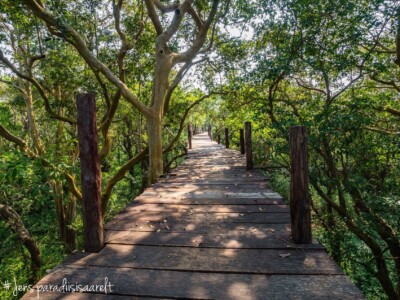 Unustamatu Kambodža reis ja rännak eesti keeles