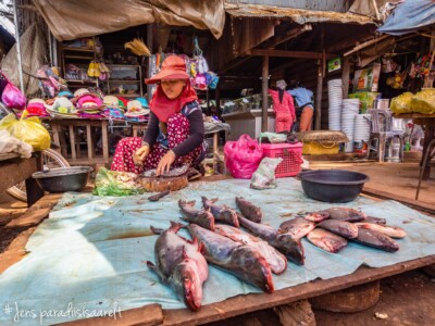 Unustamatu Kambodža reis ja rännak eesti keeles