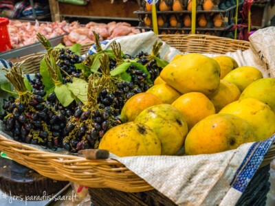 Unustamatu Kambodža reis ja rännak eesti keeles