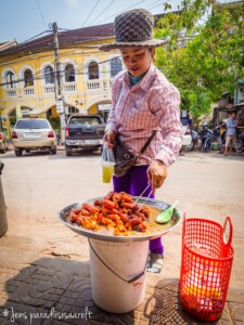 Unustamatu Kambodža reis ja rännak eesti keeles