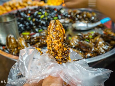 Unustamatu Kambodža reis ja rännak eesti keeles