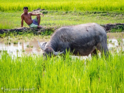 Unustamatu Kambodža reis ja rännak eesti keeles