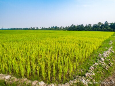 Unustamatu Kambodža reis ja rännak eesti keeles