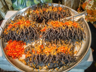 Unustamatu Kambodža reis ja rännak eesti keeles