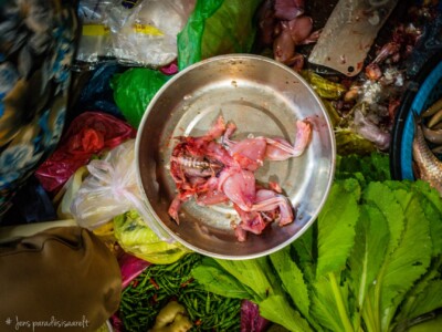 Unustamatu Kambodža reis ja rännak eesti keeles