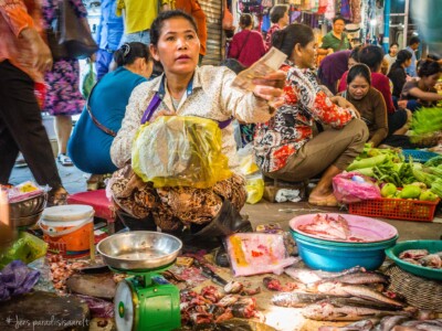 Unustamatu Kambodža reis ja rännak eesti keeles