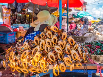 Unustamatu Kambodža reis ja rännak eesti keeles