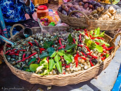 Unustamatu Kambodža reis ja rännak eesti keeles