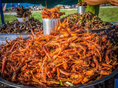 Unustamatu Kambodža reis ja rännak eesti keeles