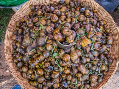 Unustamatu Kambodža reis ja rännak eesti keeles