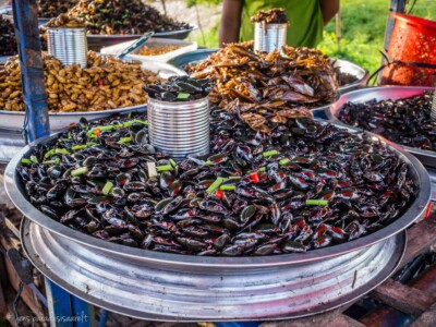 Unustamatu Kambodža reis ja rännak eesti keeles