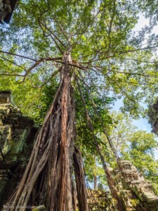 Unustamatu Kambodža reis ja rännak eesti keeles
