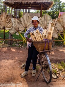 Unustamatu Kambodža reis ja rännak eesti keeles