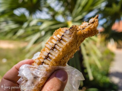 Unustamatu Kambodža reis ja rännak eesti keeles