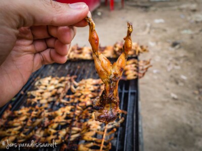 Unustamatu Kambodža reis ja rännak eesti keeles