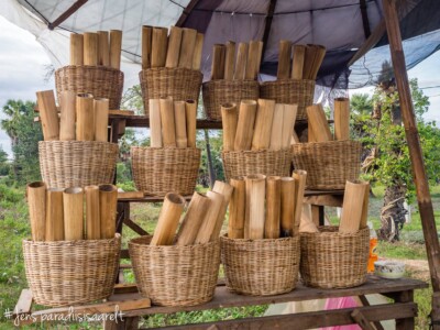 Unustamatu Kambodža reis ja rännak eesti keeles