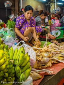 Unustamatu Kambodža reis ja rännak eesti keeles