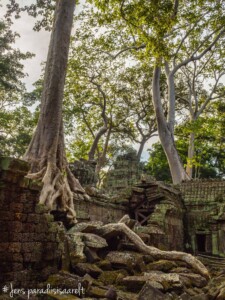 Unustamatu Kambodža reis ja rännak eesti keeles