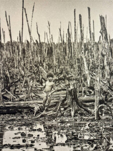 Vietnami reis ja rännak eesti keeles