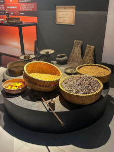 Vietnami reis ja rännak eesti keeles