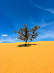 Vietnami reis ja rännak eesti keeles