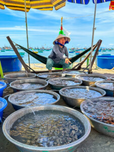 Vietnami reis ja rännak eesti keeles