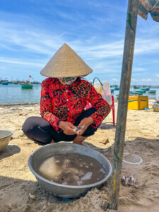 Vietnami reis ja rännak eesti keeles
